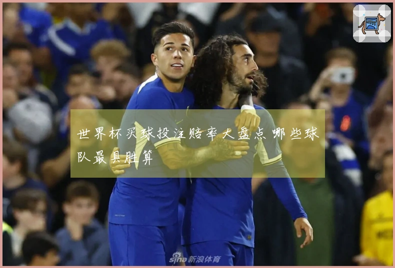 世界杯买球投注赔率大盘点 哪些球队最具胜算