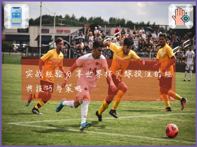 实战经验分享世界杯买球投注的经典技巧与策略