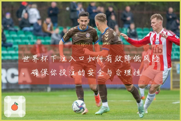世界杯下注入口如何有效降低风险，确保你投注的安全与合理性