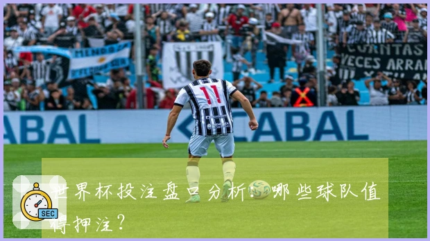 世界杯投注盘口分析：哪些球队值得押注？