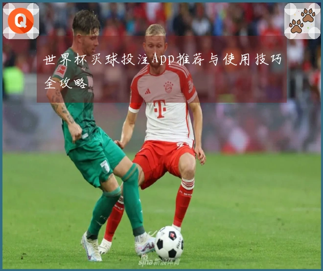 世界杯买球投注App推荐与使用技巧全攻略