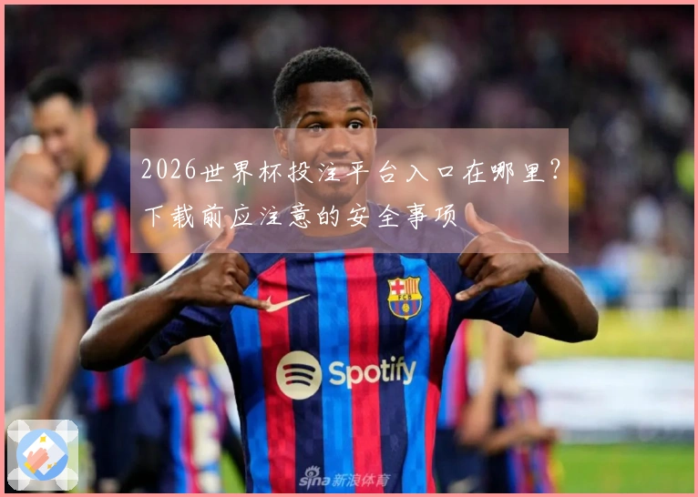 2026世界杯投注平台入口在哪里？下载前应注意的安全事项