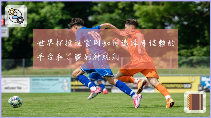 世界杯投注官网如何选择可信赖的平台和了解彩种规则