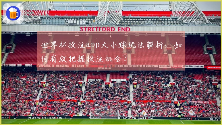 世界杯投注app大小球玩法解析，如何有效把握投注机会？
