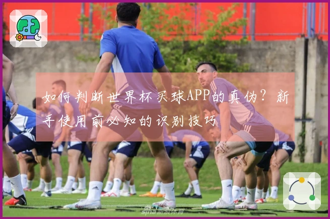 如何判断世界杯买球APP的真伪？新手使用前必知的识别技巧