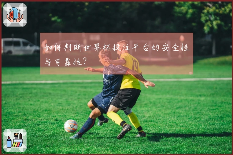 如何判断世界杯投注平台的安全性与可靠性？