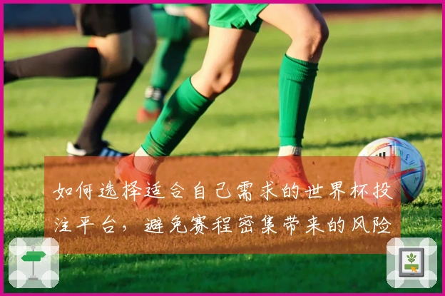 如何选择适合自己需求的世界杯投注平台，避免赛程密集带来的风险？