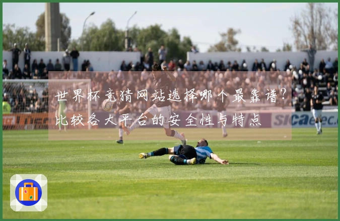 世界杯竞猜网站选择哪个最靠谱？比较各大平台的安全性与特点