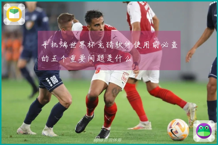 手机端世界杯竞猜软件使用前必查的五个重要问题是什么