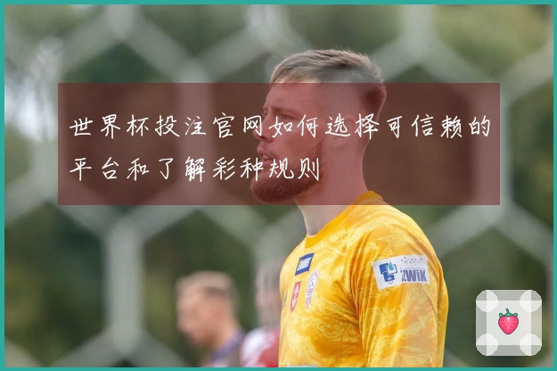 世界杯投注官网如何选择可信赖的平台和了解彩种规则