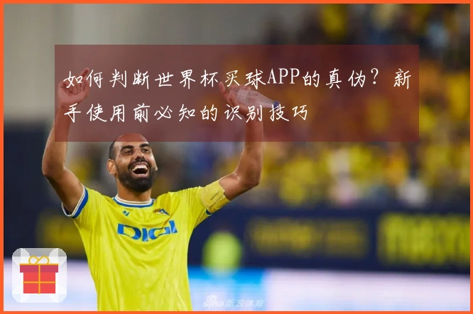 如何判断世界杯买球APP的真伪？新手使用前必知的识别技巧