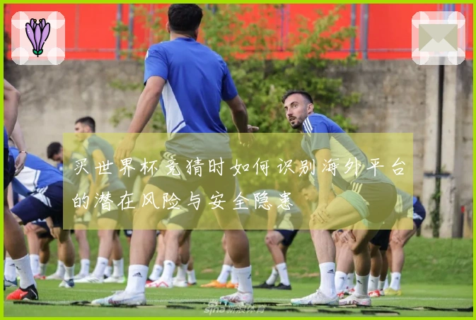 买世界杯竞猜时如何识别海外平台的潜在风险与安全隐患