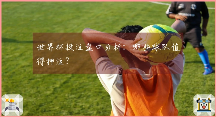 世界杯投注盘口分析：哪些球队值得押注？