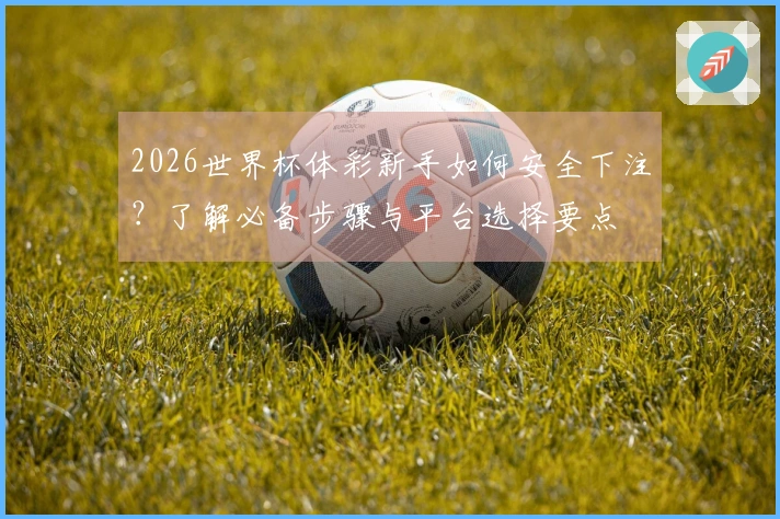 2026世界杯体彩新手如何安全下注？了解必备步骤与平台选择要点
