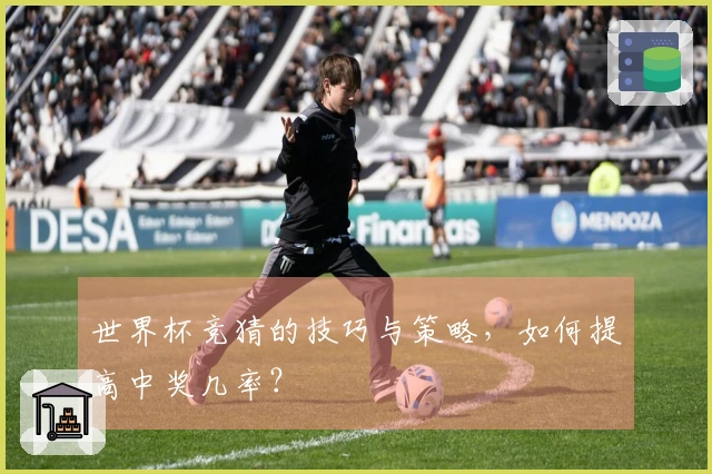 世界杯竞猜的技巧与策略，如何提高中奖几率？
