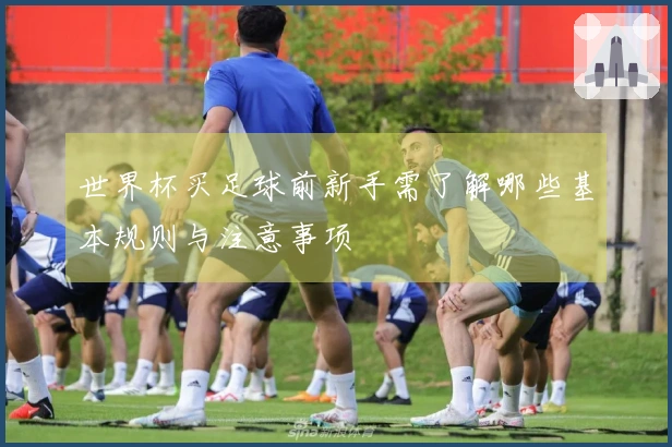 世界杯买足球前新手需了解哪些基本规则与注意事项