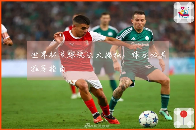世界杯滚球玩法大揭秘，球迷必看推荐指南