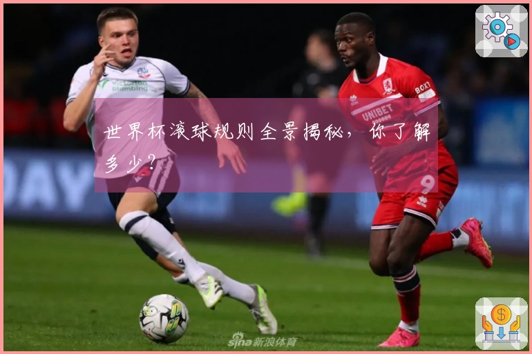世界杯滚球规则全景揭秘，你了解多少？