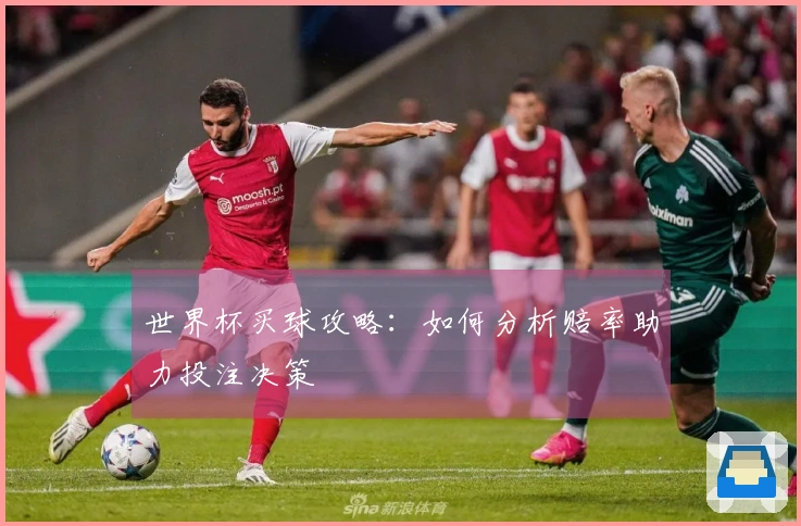 世界杯买球攻略：如何分析赔率助力投注决策