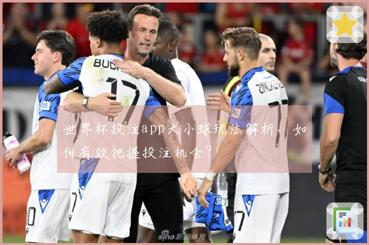 世界杯投注app大小球玩法解析，如何有效把握投注机会？