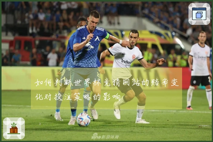 如何判断世界杯竞猜网站的赔率变化对投注策略的影响