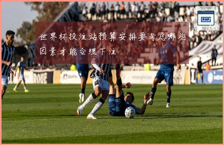 世界杯投注站预算安排要考虑哪些因素才能合理下注