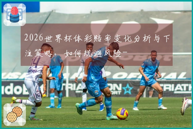 2026世界杯体彩赔率变化分析与下注策略，如何规避风险-