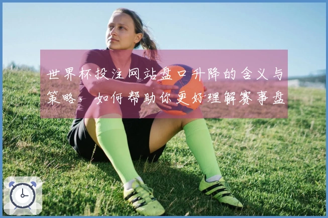 世界杯投注网站盘口升降的含义与策略，如何帮助你更好理解赛事盘口？