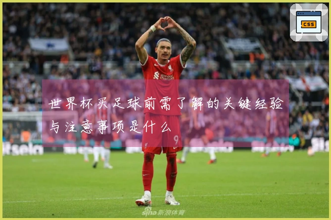 世界杯买足球前需了解的关键经验与注意事项是什么