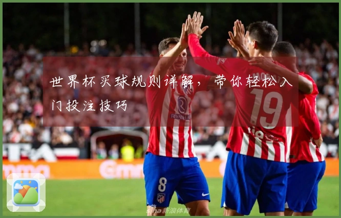 世界杯买球规则详解，带你轻松入门投注技巧