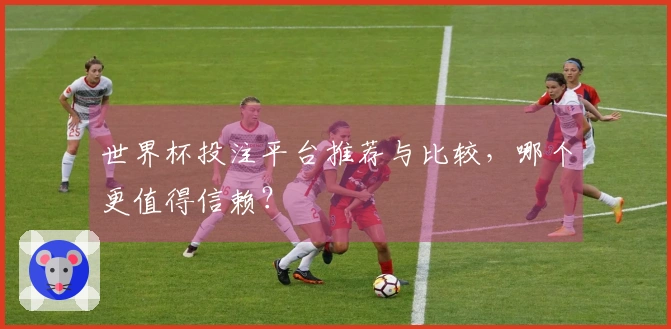 世界杯投注平台推荐与比较，哪个更值得信赖？