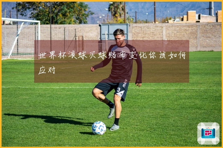 世界杯滚球买球赔率变化你该如何应对