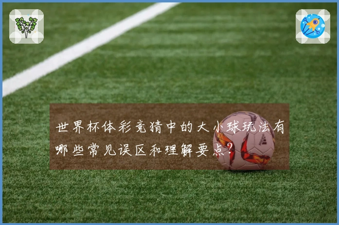 世界杯体彩竞猜中的大小球玩法有哪些常见误区和理解要点？