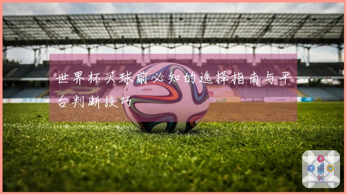 世界杯买球前必知的选择指南与平台判断技巧