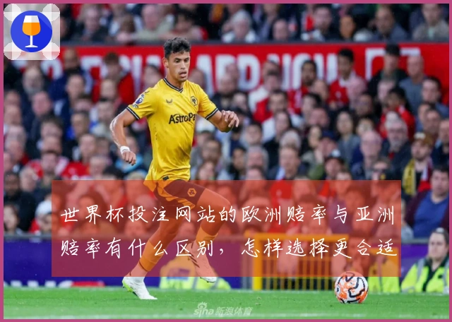世界杯投注网站的欧洲赔率与亚洲赔率有什么区别，怎样选择更合适？
