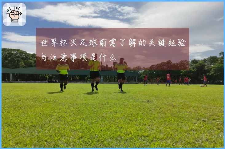世界杯买足球前需了解的关键经验与注意事项是什么